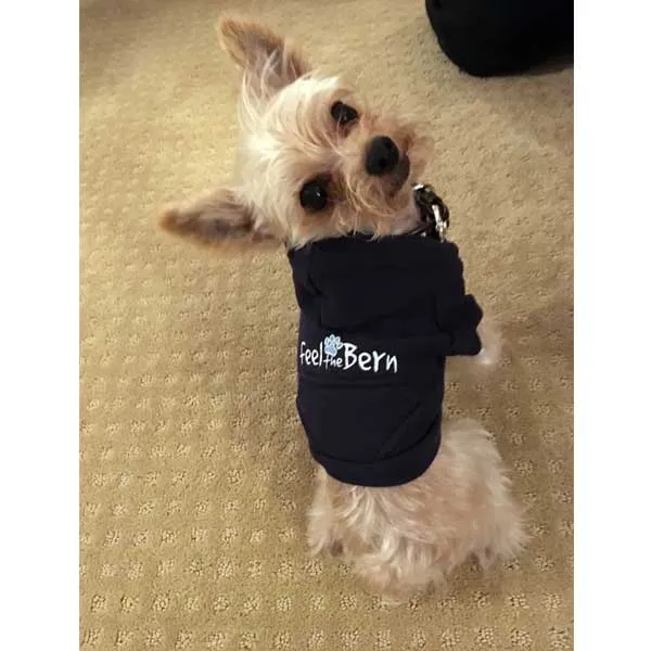Bernie Sanders Dog Hoodie