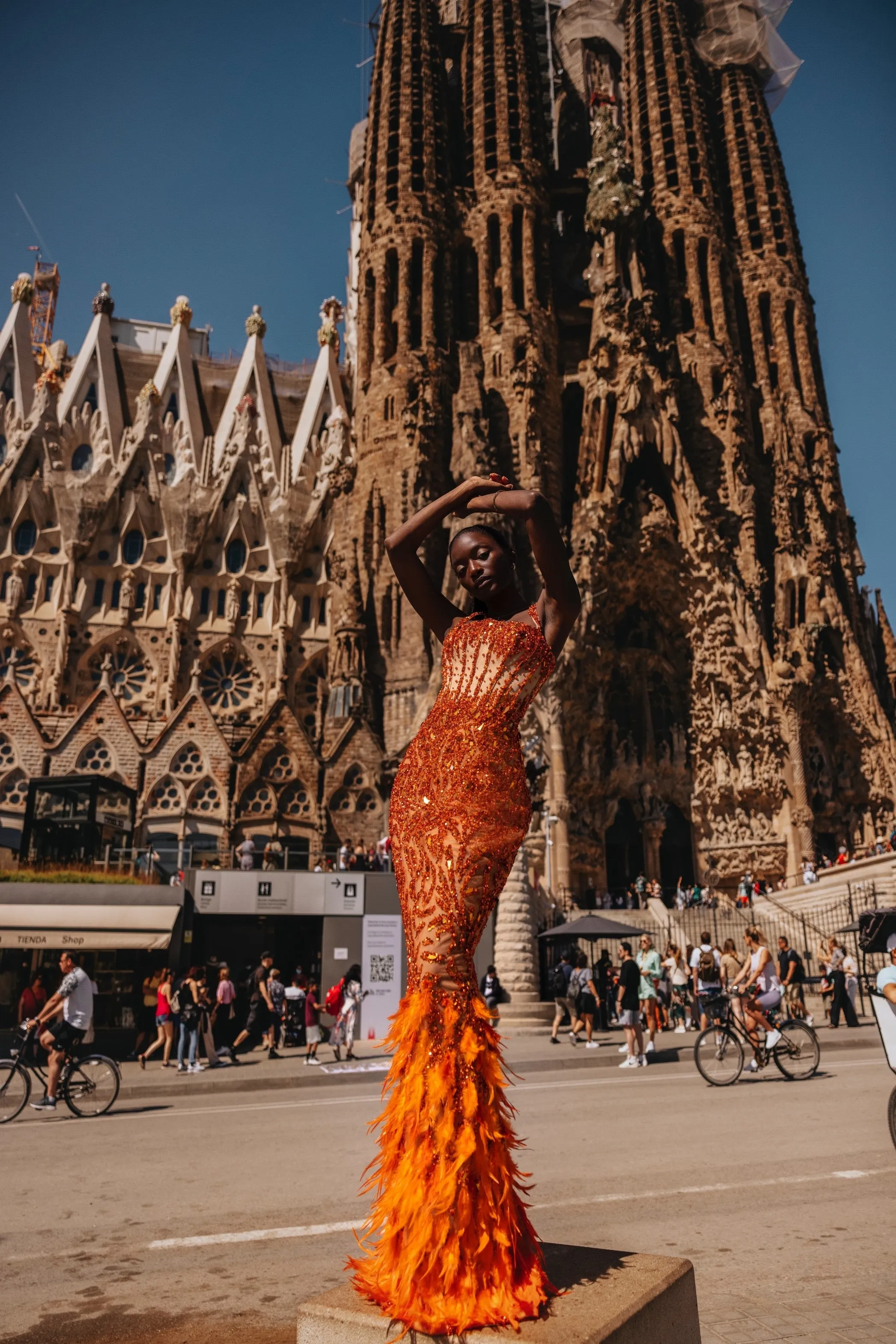 Luxury Orange Mermaid Evening Dress Feather