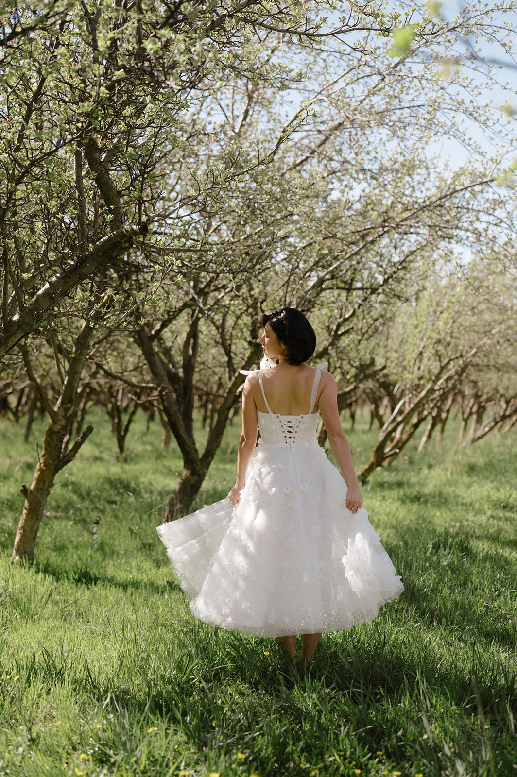 Pixie Dust - White